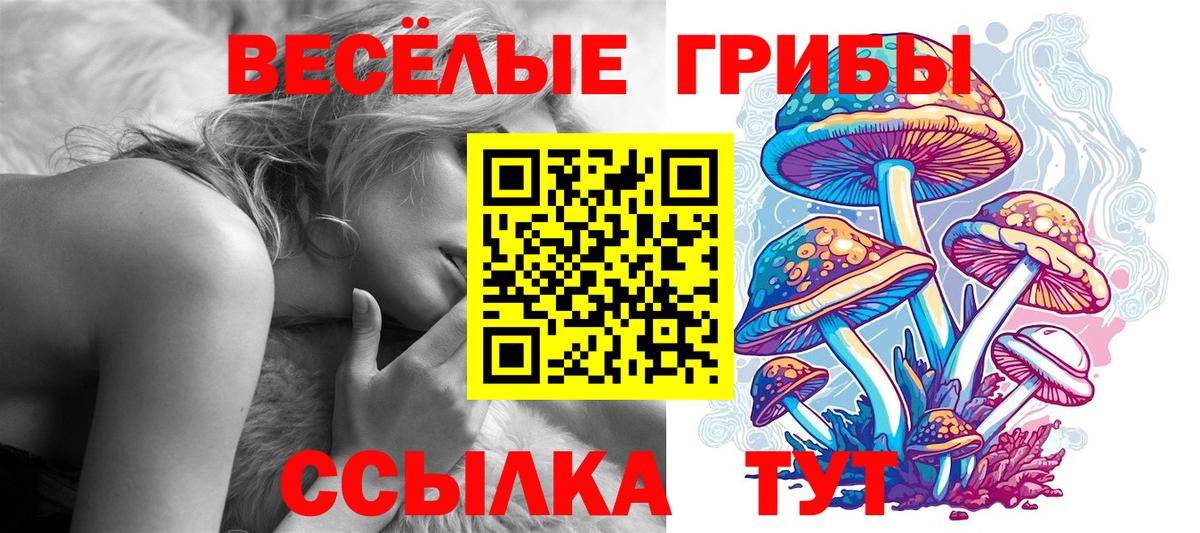 Галлюциногенные грибы ЛСД  Вход с VPN  Галлюциногенные грибы мухоморы  Полысаево 